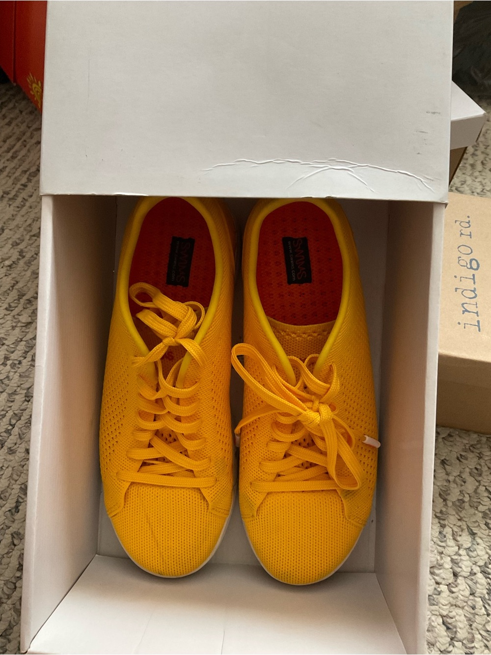 Swims Gold Fusion/White Men's Breeze Tennis Knit Sneakers